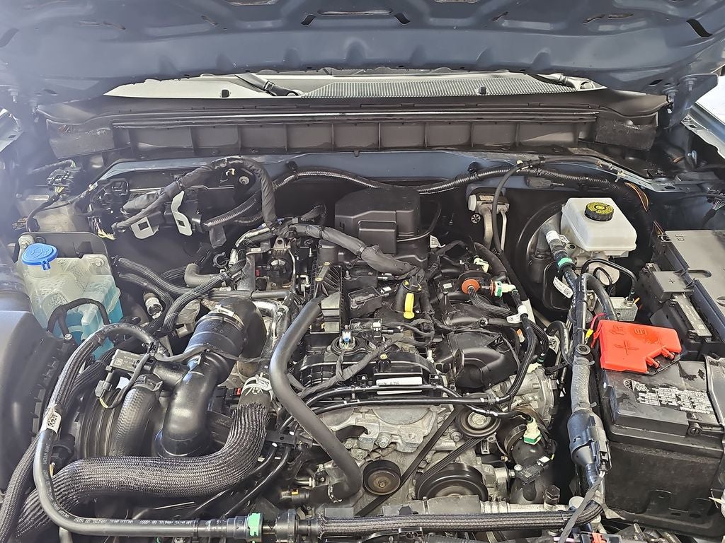 2023 Ford Bronco Everglades