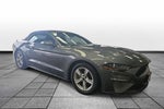 2023 Ford Mustang EcoBoost