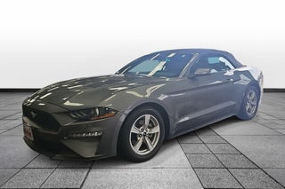 2023 Ford Mustang EcoBoost