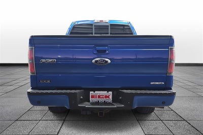2014 Ford F-150 FX4